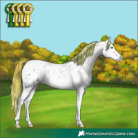 Horse Color:Painted White Spotted Brown Ice Onyx Splash Appaloosa Brindle 