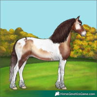 Horse Color:Chocolate Brown Onyx Tobiano 