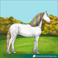 Horse Color:Painted Gold Champagne Ice Pearl Onyx Sabino Splash Tobiano Varnish Brindle 