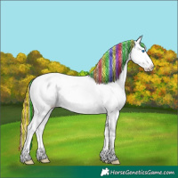 Horse Color:Painted White Spotted Chocolate Brown Ice Dun Splash Tobiano Appaloosa Brindle 