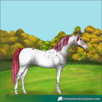 Horse Color:Platinum Painted White Spotted Chocolate Brown Onyx Tobiano Appaloosa 