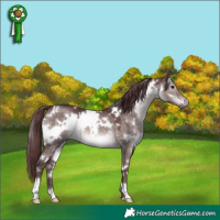 Horse Color:Platinum White Spotted Chocolate Brown Dun 