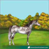 Horse Color:Platinum White Spotted Chocolate Brown Dun 