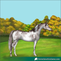 Horse Color:Platinum White Spotted Chocolate Brown Dun 