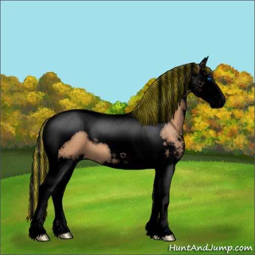 Horse Color:Void Painted Brown Dun Sabino Splash Tobiano 