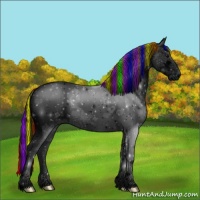 Horse Color:Void Painted White Spotted Black Ice Tobiano 