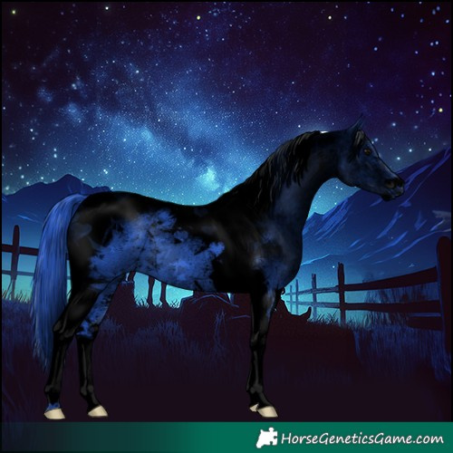 Horse Color:Void Watercolor Black Tobiano 