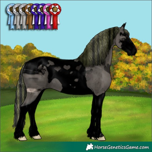 Horse Color:ERROR: UNKNOWN ANOMALY
