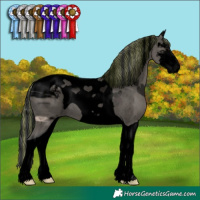 Horse Color:ERROR: UNKNOWN ANOMALY