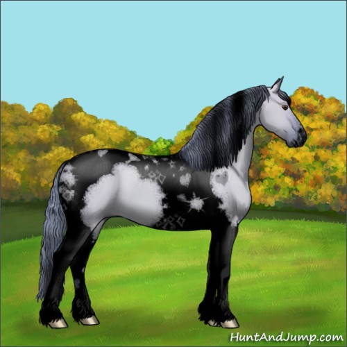 Horse Color:Void Watercolor Grullo Chinchilla Tobiano