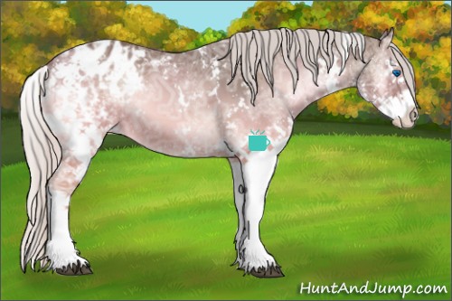 Horse Color:White Spotted Silver Blue Onyx Ice Splash Blanket 