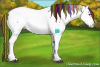 Horse Color:Painted White Spotted Smoky Black Ice Splash Appaloosa 