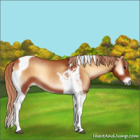 Horse Color:Red Onyx Tobiano 