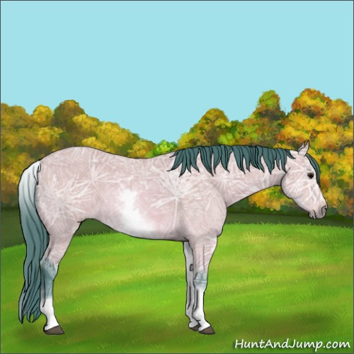 Horse Color:Watercolor White Spotted Bay Ice 