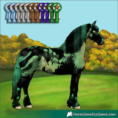 Horse Color:ERROR: UNKNOWN ANOMALY