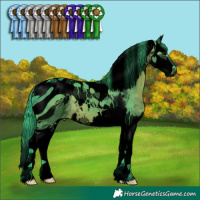Horse Color:ERROR: UNKNOWN ANOMALY