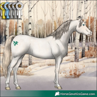 Horse Color:Perlino Roan 
