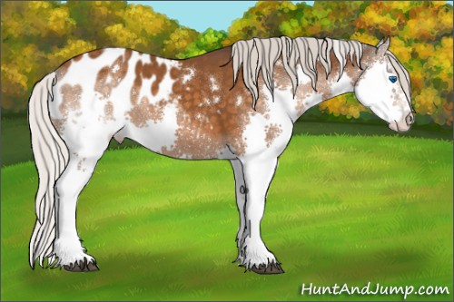 Horse Color:White Spotted Silver Buckskin Splash Blanket 