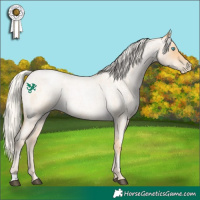 Horse Color:Silver Buckskin Roan Pearl 
