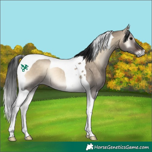 Horse Color:Brown Onyx Tobiano Rabicano