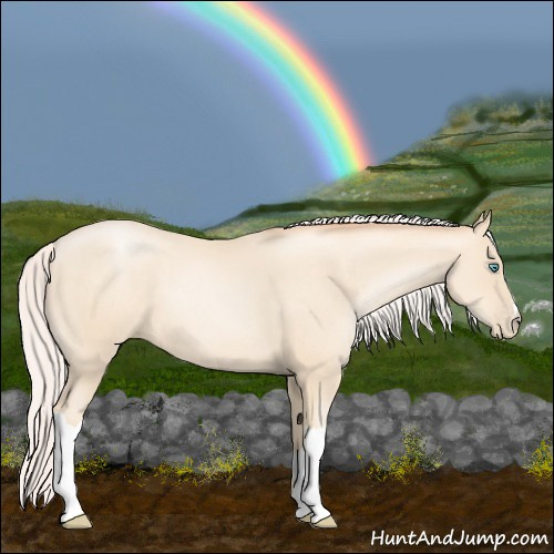 Horse Color:Silver Amber Cream Champagne Pearl
