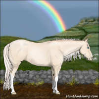 Horse Color:Silver Amber Cream Champagne Pearl 