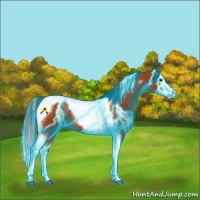Horse Color:Thunderstruck Bay Splash Tobiano 