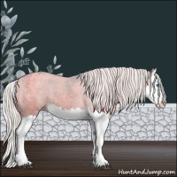 Horse Color:Silver Black Ice Splash Varnish 