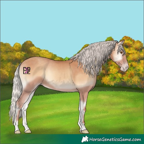 Horse Color:Silver Classic Champagne Onyx