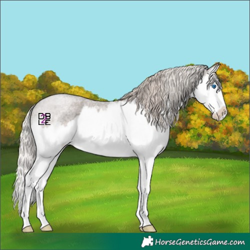 Horse Color:Silver Blue Roan Splash 