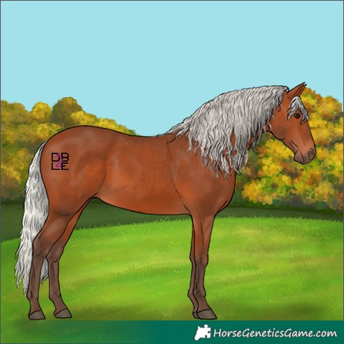 Horse Color:Silver Bay 
