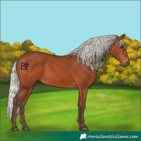 Horse Color:Silver Bay 