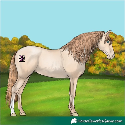 Horse Color:Amber Champagne Pearl
