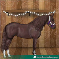 Horse Color:Chocolate Black