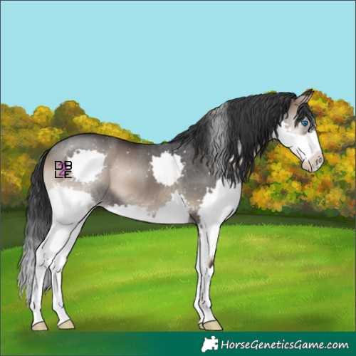 Horse Color:Blue Onyx Splash 