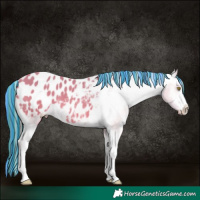 Horse Color:Platinum Painted White Spotted Amber Champagne Appaloosa 