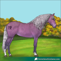 Horse Color:Platinum Silver Bay Tobiano 