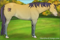 Horse Color:Platinum Painted Amber Champagne 