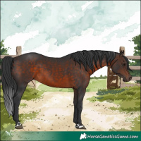 Horse Color:Brown 