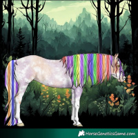 Horse Color:Painted White Spotted Silver Amber Champagne Roan Splash Rabicano 