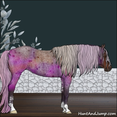 Horse Color:Silver Brown Roan Sabino