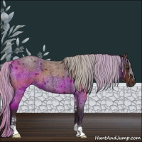 Horse Color:Silver Brown Roan Sabino