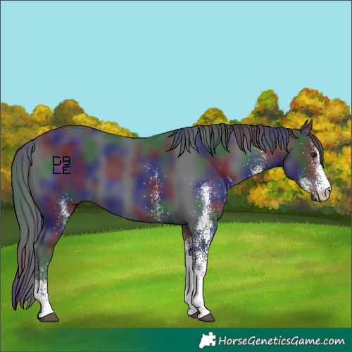 Horse Color:Nacre White Spotted Black Chinchilla 