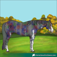 Horse Color:Nacre White Spotted Black Chinchilla 