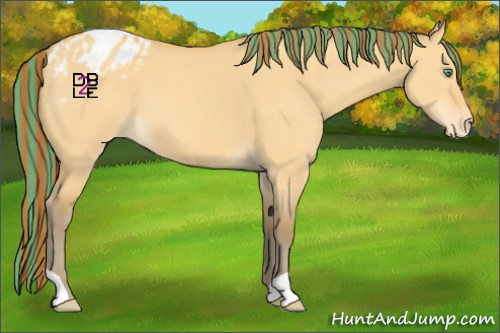 Horse Color:Painted Amber Cream Champagne Dun Appaloosa