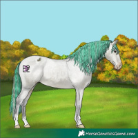 Horse Color:Painted Brown Dun Varnish 