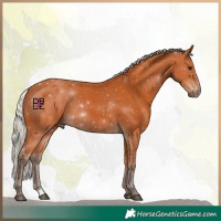 Horse Color:Silver Bay 