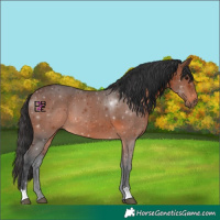 Horse Color:Brown 