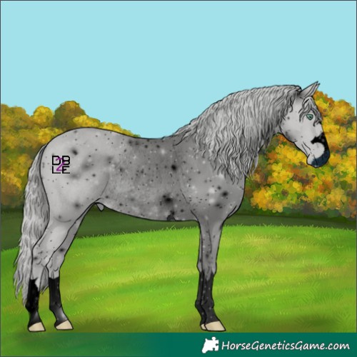 Horse Color:ERROR: UNKNOWN ANOMALY