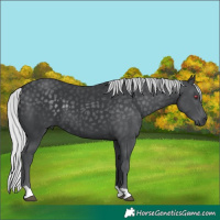 Horse Color:Silver Black Chinchilla